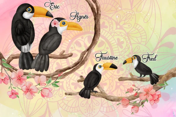 Portrait de famille Toucans 2